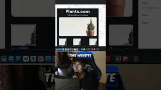 Create websites in minutes! #shorts