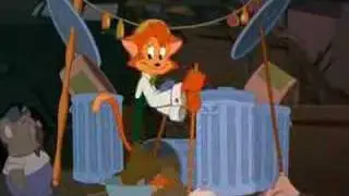 Cats Won't Dance