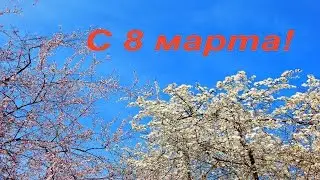 Поздравляю с 8 марта