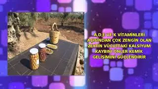 Zeytinin Faydaları