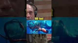 100 FOOT GIANT SQUID 