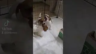 Веселая тусовка