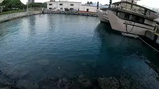 Fishing with Ryan