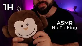 ASMR No Talking Avec Une Bouillotte (1 Heure) 🐵✨