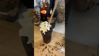 ШОКОЛАДНИЙ КОКТЕЙЛ З ВЕРШКАМИ ТА БЕЙЛІСОМ ЗА ХВИЛИНУ🎄🍸