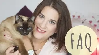 FAQ | Fragen an Filea #1