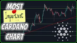 Most Important Cardano Price Chart | How to Handle a Price Drop!