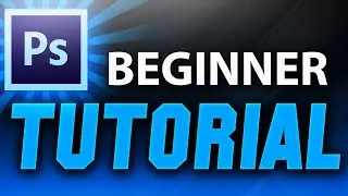 LESSON 1 Adobe Photoshop for Beginner:  Learn Adobe Photoshop in just Less than an Hour