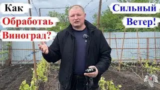 Как ОБРАБОТАТЬ ВИНОГРАД, когда ДУЕТ СИЛЬНЫЙ ВЕТЕР