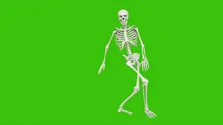 SKELETON DANCE 1