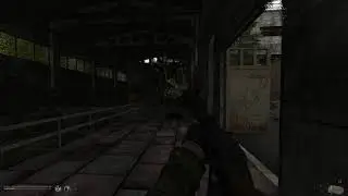 Stalker anomaly bug