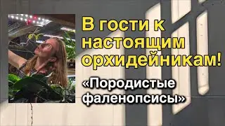 Создатели «Орхидиума» и просто хорошие люди! 🔥❤️‍🔥🌸