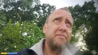 Від пари птахів до пташенят.