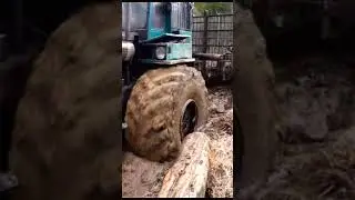 Жижа, грязь и мощные колёса.