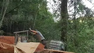 Fell Douglas Fir for Safety and Lumber: Part 12 - solo beam Wrastlin' 500+ pounds :P
