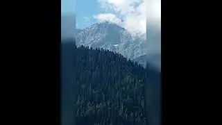 Озеро РИЦА Абхазия, отдых в Сочи#сочи#стрим#путешествия