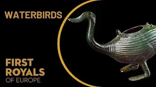 Waterbirds - First Royals of Europe