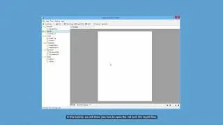 Navicat -  How to use the Navicat Report Viewer? (Windows)