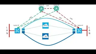 VIPTELA SDWAN OMP PART 8