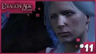 Let's Play Dragon Age Origins (Part 11)