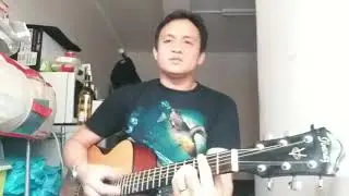 Paul McCartney - Somedays - Jaime Babcock - Cover
