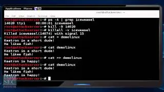 Introduction to Linux