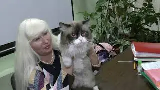 Презентация питомника ДОЛЛС ХАУС
