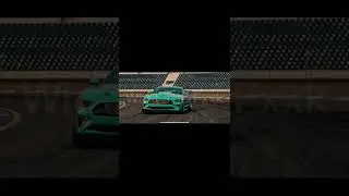 Ford Mustang GT Race Spec | Assoluto Racing | What The Fxxk