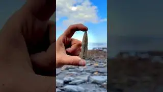 We are exposing a perfect Jurassic Belemnite (Squid-like creature) which was in soft shale 🦑