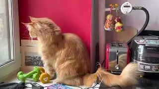 За окном