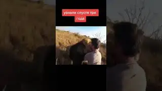 Хозяин не мог их найти но спустя 3 года это свершилось.