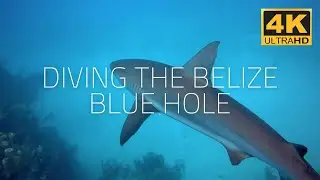Diving the Belize Blue Hole - Cinematic 4K