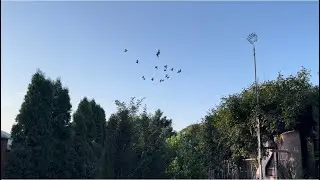 Красота полёта не зависит от твоего настроения