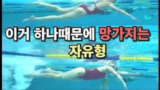 이런 자유형 하는 분들 엄청 많습니다,,,(피드백 포함)