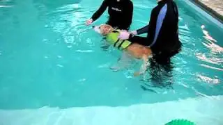 20110120_Hydrotherapy 005.avi