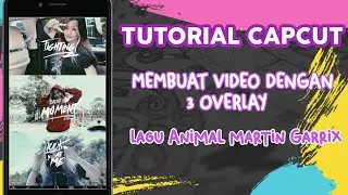 Tutorial Cara Edit Video Viral Pake Lagu Animal Martin Garrix - 3 Overlay | Aplikasi CAPCUT