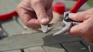 Заточування секаторів Felco 2 та Felco 6. Заточування секатора.