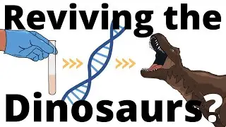 Jurassic Park in REAL LIFE? Could we 