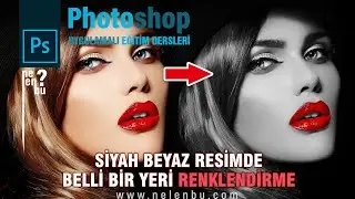 Coloring a Place in an Image - Highlight - Photoshop Tutorials