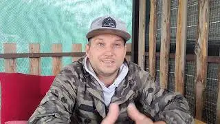 Почему я выращиваю улитку maxima а не muller?