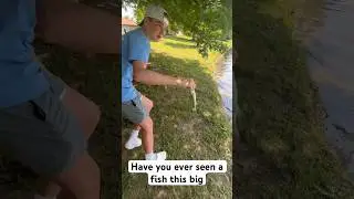 Have you ever seen a fish this big???!!😂😂😂 