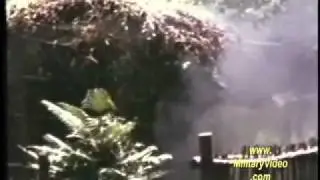 Marines Search & Destroy  Vietnam War