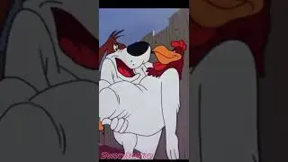 Get Your Lips Outta My Face, Rooster!