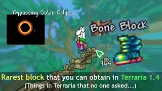 Terraria block that cannot be obtained... but you can. (Things in Terraria that nobody asked...)
