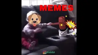 clean memes that cure depression