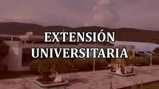 INFORME ANUAL 2021