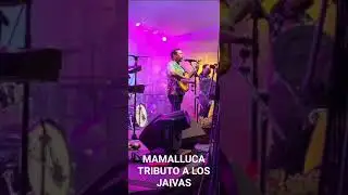 Fragmento Mira Niñita, Mamalluca Tributo a Los Jaivas