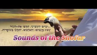 Sounds of the Sacred Shofar [shofar blasts to help awaken the soul] Feast of Trumpets / Yom Teruah