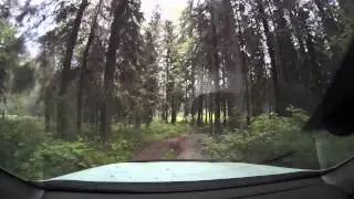 Первая попытка найти стоянку на Онежском озере