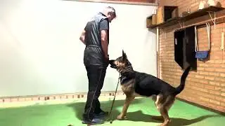 Leka prosseguindo no busca de objetos